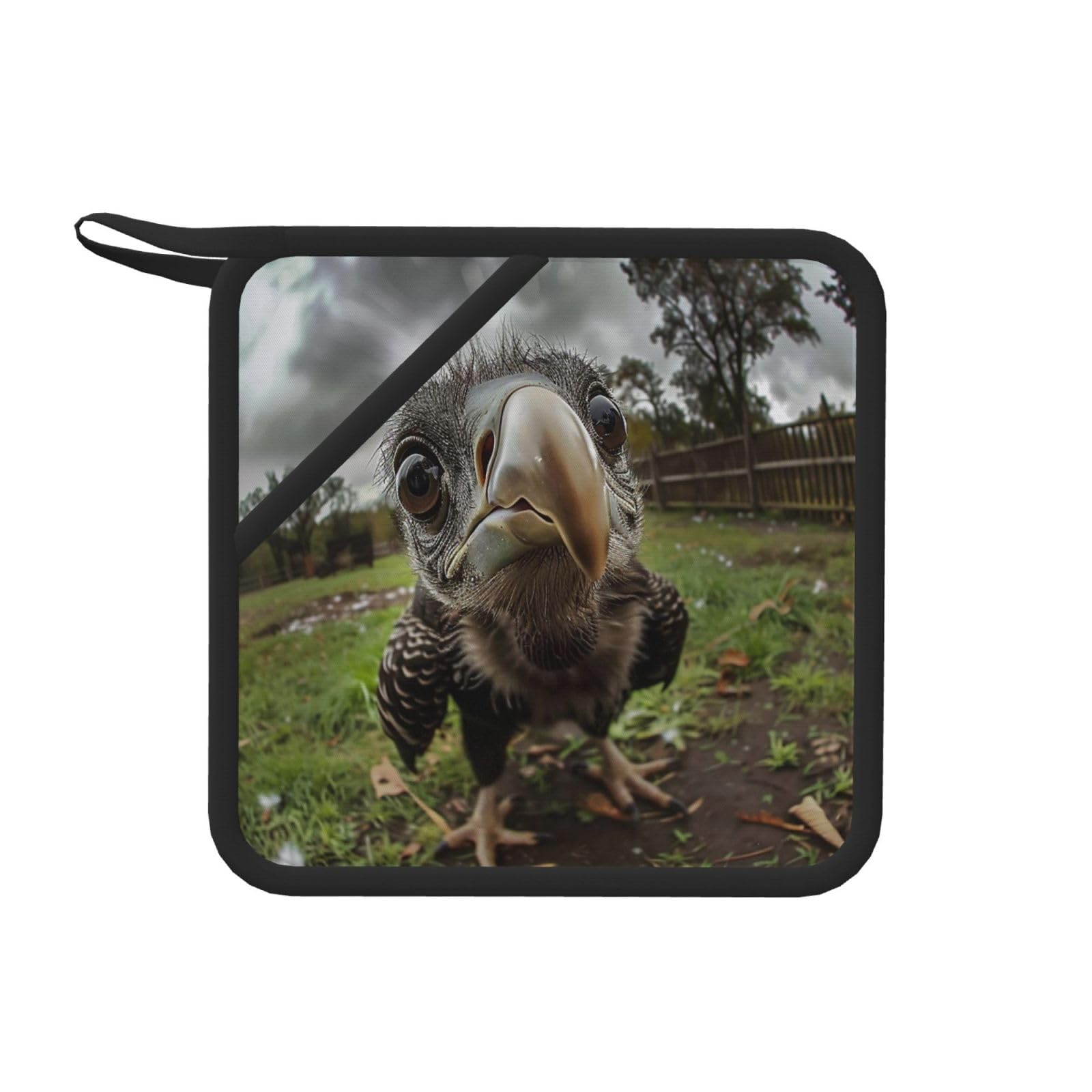 Pot Holders Set of 2 Kitchen Heat Resistant Potholders Bald Eagle Photos Silicone Aunty-hot Pad Cotton Lining Oven Hot Pads for Cooking Baking BBQ Microwave Kitchen