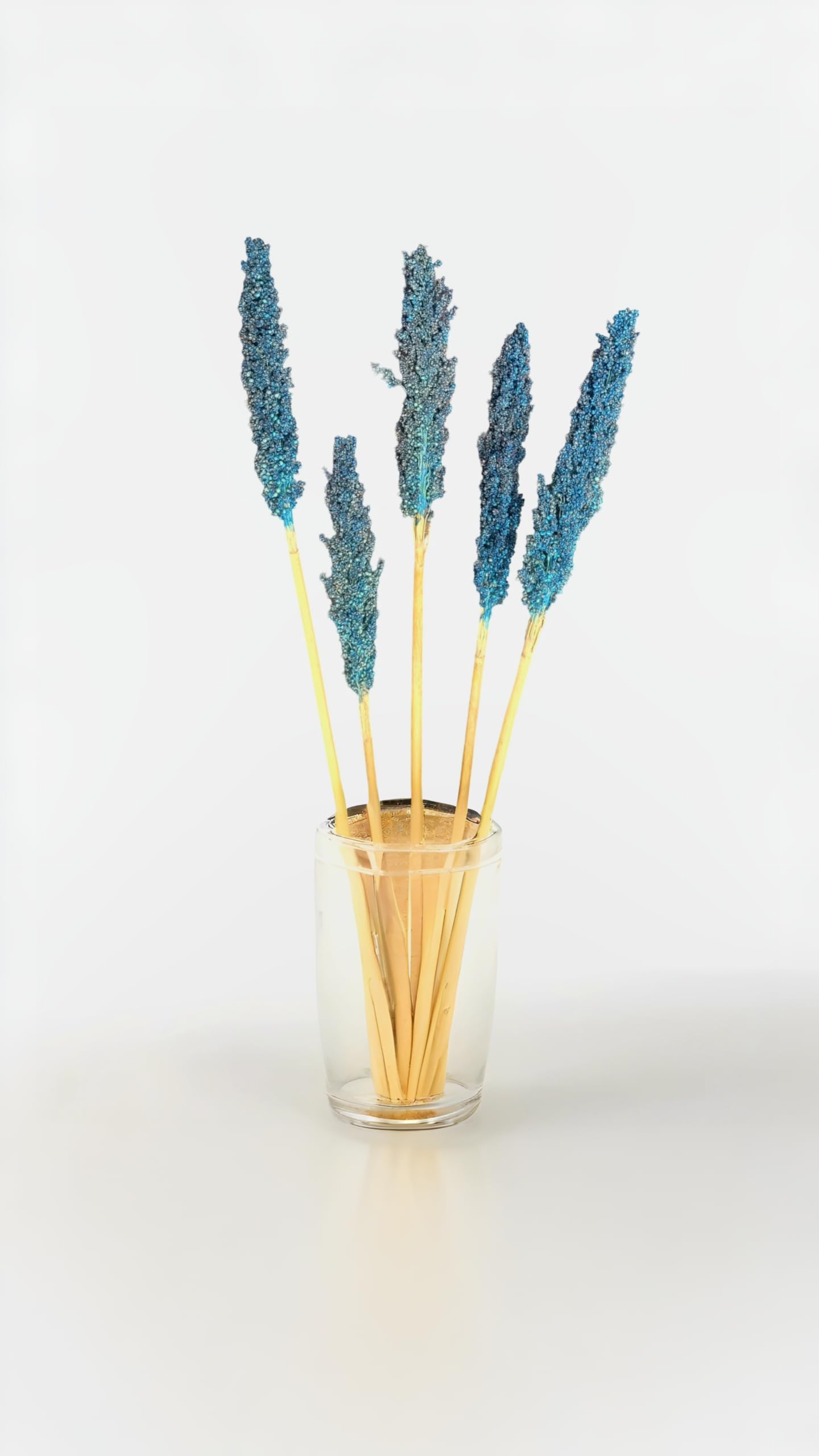 RUKDA® Dried Blue Sorghum Flower Sheaves || Stalks Dried Flower Dry Grass Bouquet for Wedding Table Centerpieces, Home & Office Decoration - 2pcs 2