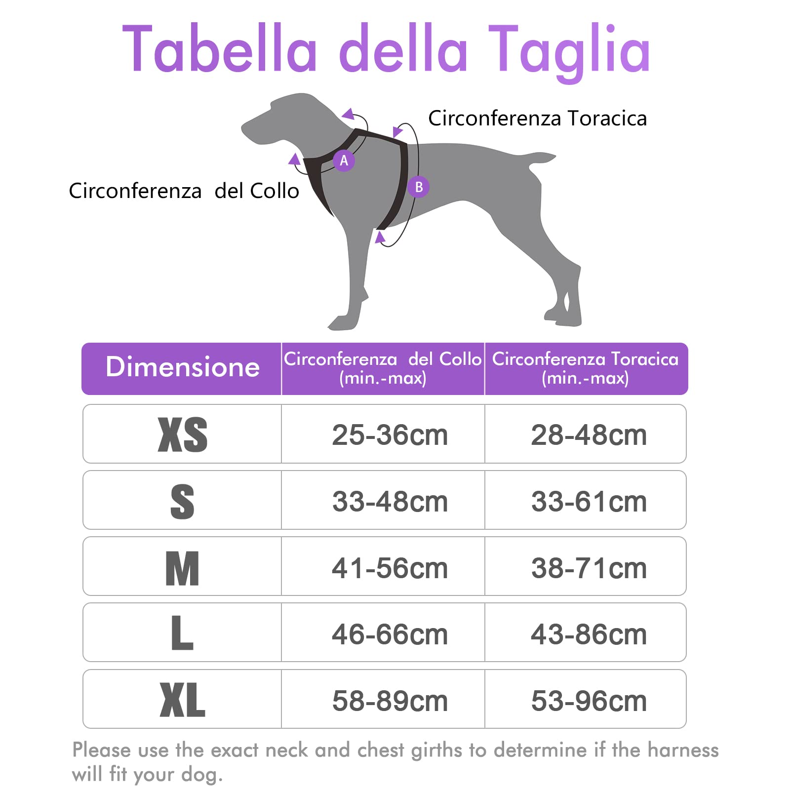 rabbitgoo Pettorina Cane Taglia Piccola, Pettorina Cane ad h Regolabile con 2 Ganci in Metallo, Pettorina per Cani Anti Tiro Riflettente, Imbracatura Cani Traspirante per Addestramento(XS, Viola)