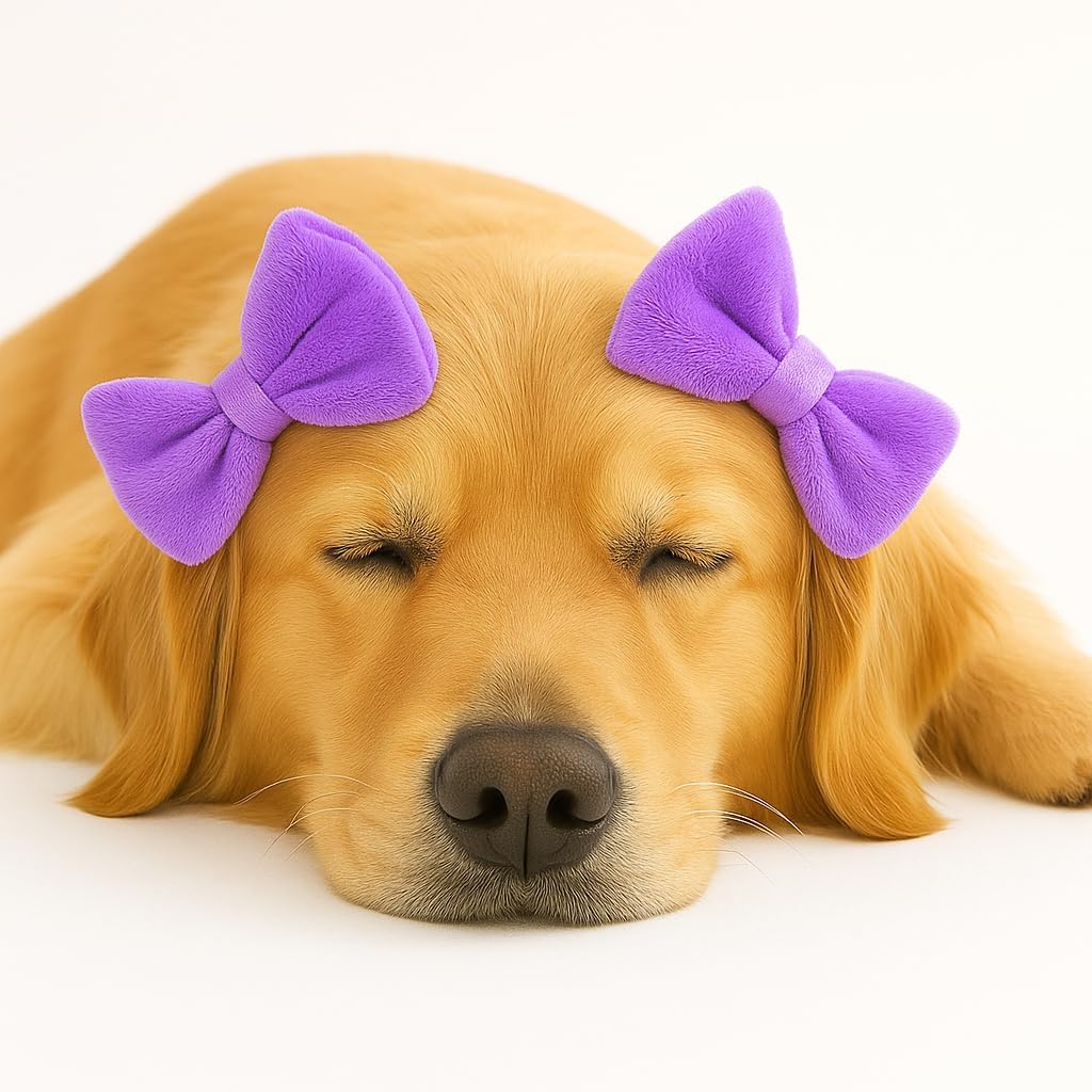 Amazon.com : Dog Hair Bow 3 Pack – Double Bow Dog Headbands, Adjustable ...