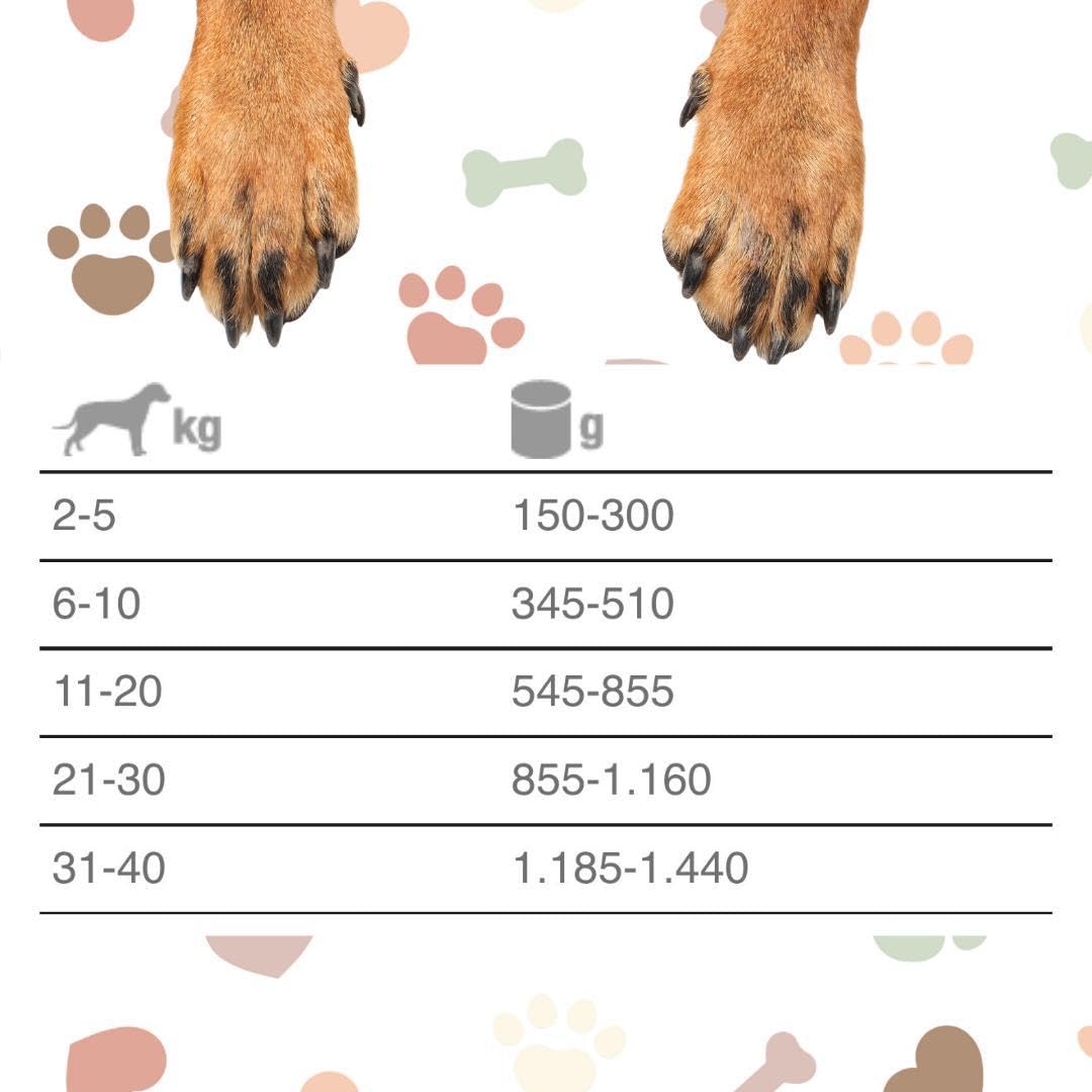 Natural Code - Comida húmeda para perro número 403, sabor de caza con castañas, alimento completo en desfiles para perros adultos de todas las tallas y razas en lata. 6 latas de 400 gramos cada una, 6