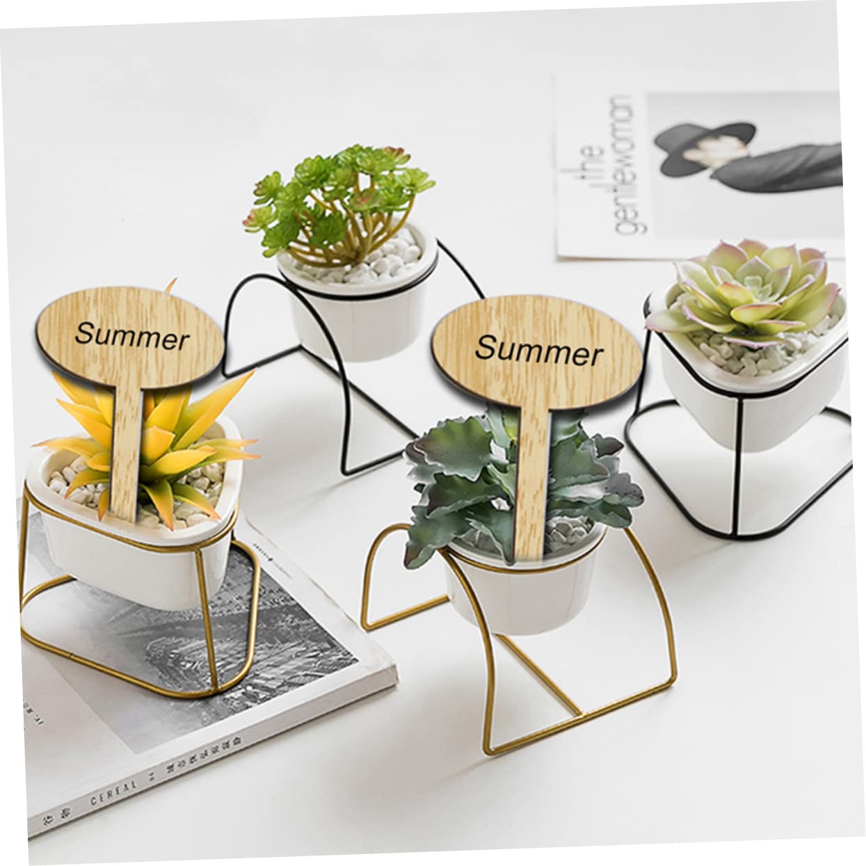 Abaodam 100pièces Étiquettes De Jardin Marqueurs De Plantes Pour Décoration De Jardin Et Projets Étiquettes Reutilisables Élégantes Pour Petits Pots
