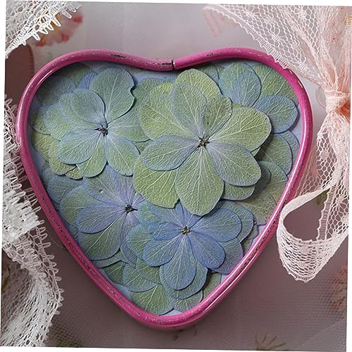 Flores Secas Prensadas para Manualidades DIY 30 piezas miniatura 4