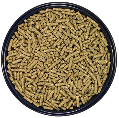 Comida fortificada para conejos y cobayas 4 lbs miniatura 2