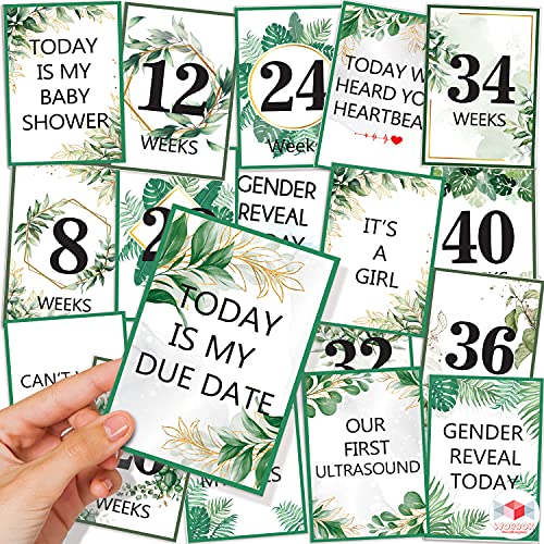 Wobbox Pregnancy Milestone Cards, Tropical Theme, Pregnancy Journey, Weeks Growth Milestone Cards, Pregnancy Gift Scrapbook Photo Keepsake - Set of 27 Pieces