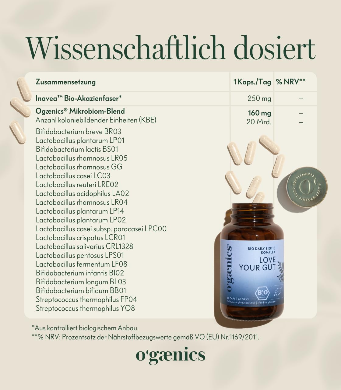 Ogaenics Love Your Gut Darmbakterien Komplex: 21 Stämmen + Inavea™ Bio-Akazienfaser, u.a. Lactobacillus & Bifidobakterien, 20 Mrd. KbE/Kapsel, vegan, bio, laborgeprüft, produziert in DE, 60 Kapseln
