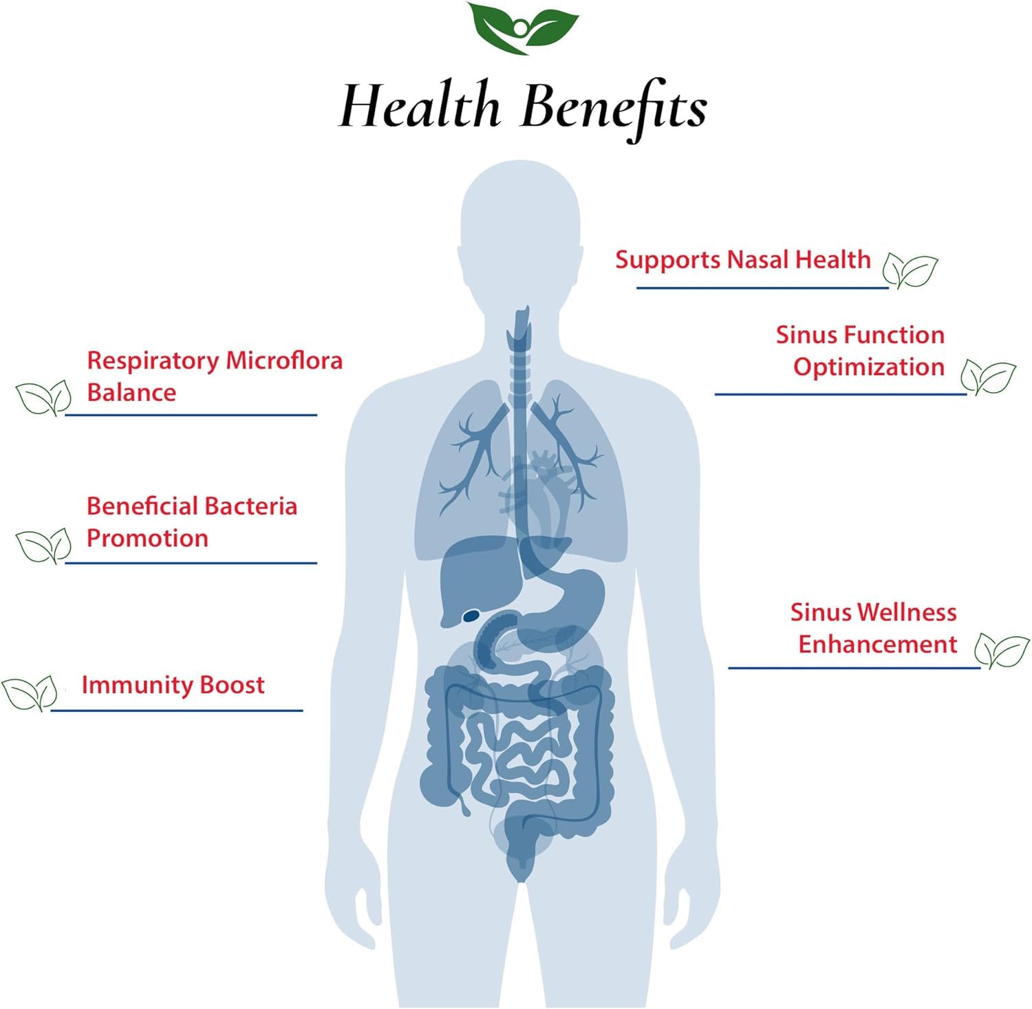 Foods For Gut Lactobacillus Sakei Probiotic Powder 150 Billion cfu's | Made in USA | No Additives | Sinus and Sinusitis Relief | High Potency | L. Sakei | 30 Grams (1.05 Oz)