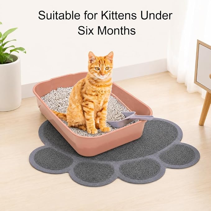 Kit para caja de arena para gatitos y gatos pequeños miniatura 6