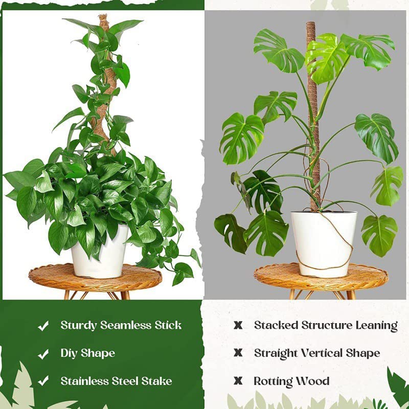 Amazon | 植物支柱 園芸支柱 2本セット 曲げられる ポトス ヘゴ