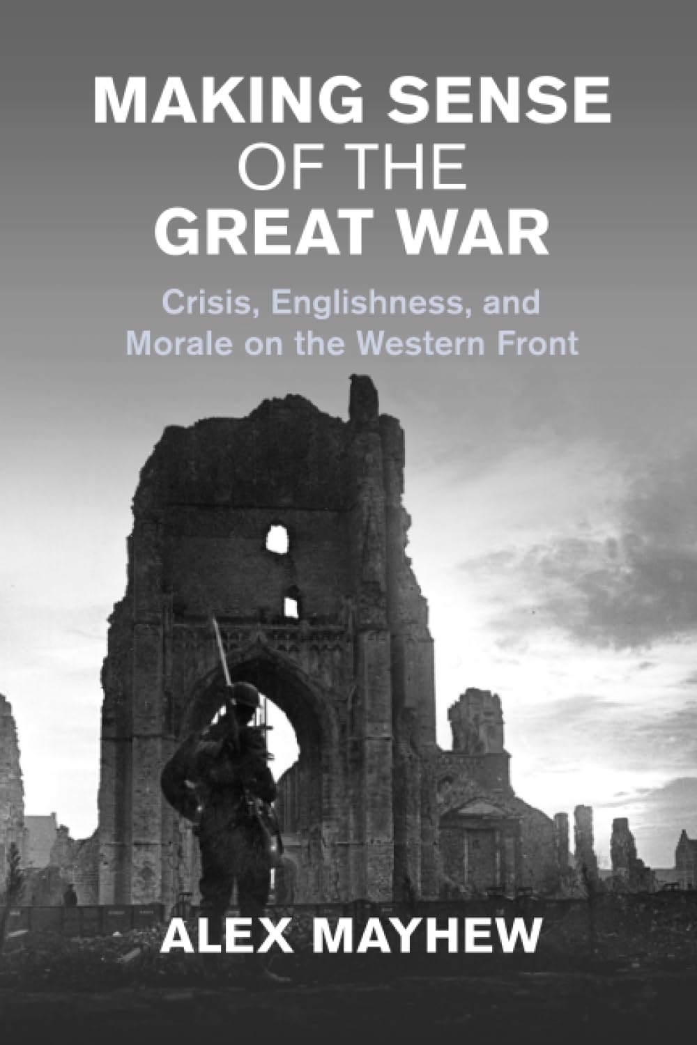 Making Sense of the Great War: Crisis, Englishness, and Morale on the Western Front (Studies in the Social and Cultural History of Modern Warfare)