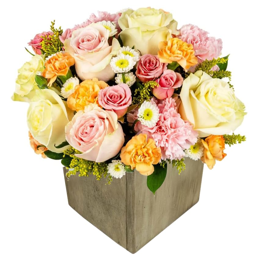 Champagne Dreams in Wooden Vase | Peach, Cream Aquabloom | Arabella Bouquets | Real Fresh Flowers for Delivery, Gift for Birthday, Congratulations,