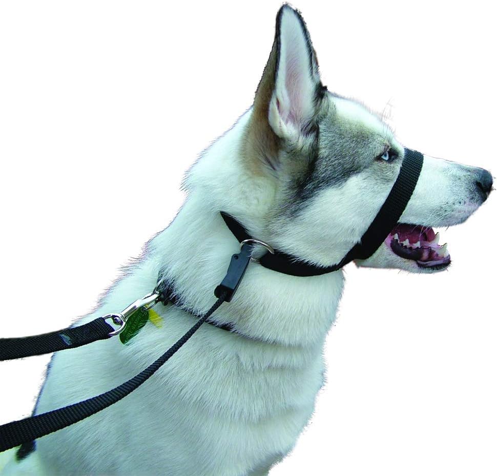 Kumfi Canine Kumfi Calmer, One Size