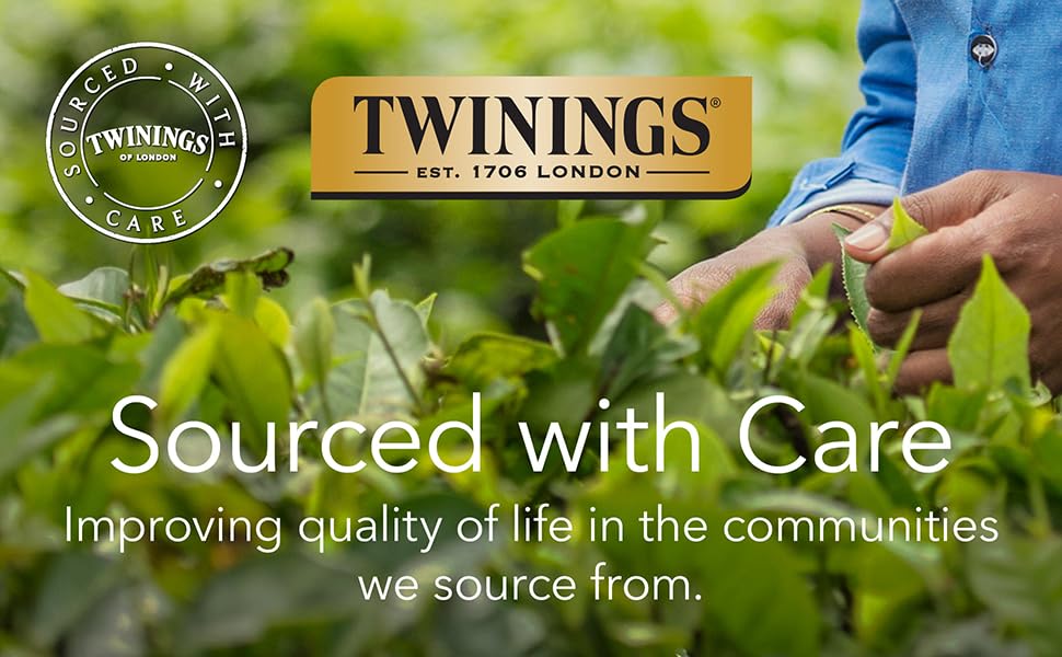 Miniatura 8 de Twinings Chai - Cápsulas K-Cup de té negro para cafeteras Keurig, 72 unidades, mezcla audaz y especiada con canela, cardamomo, clavo de olor y
