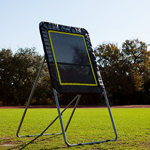 Champion Sports Deluxe Lacrosse Rebound Targets Ball Return Bounce