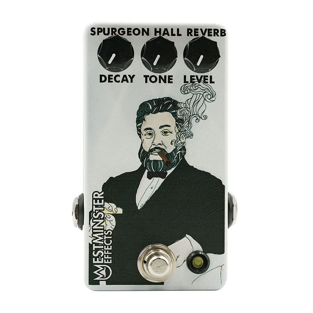 Westminster Effects Spurgeon Reverb V2 : Amazon.fr: Instruments de