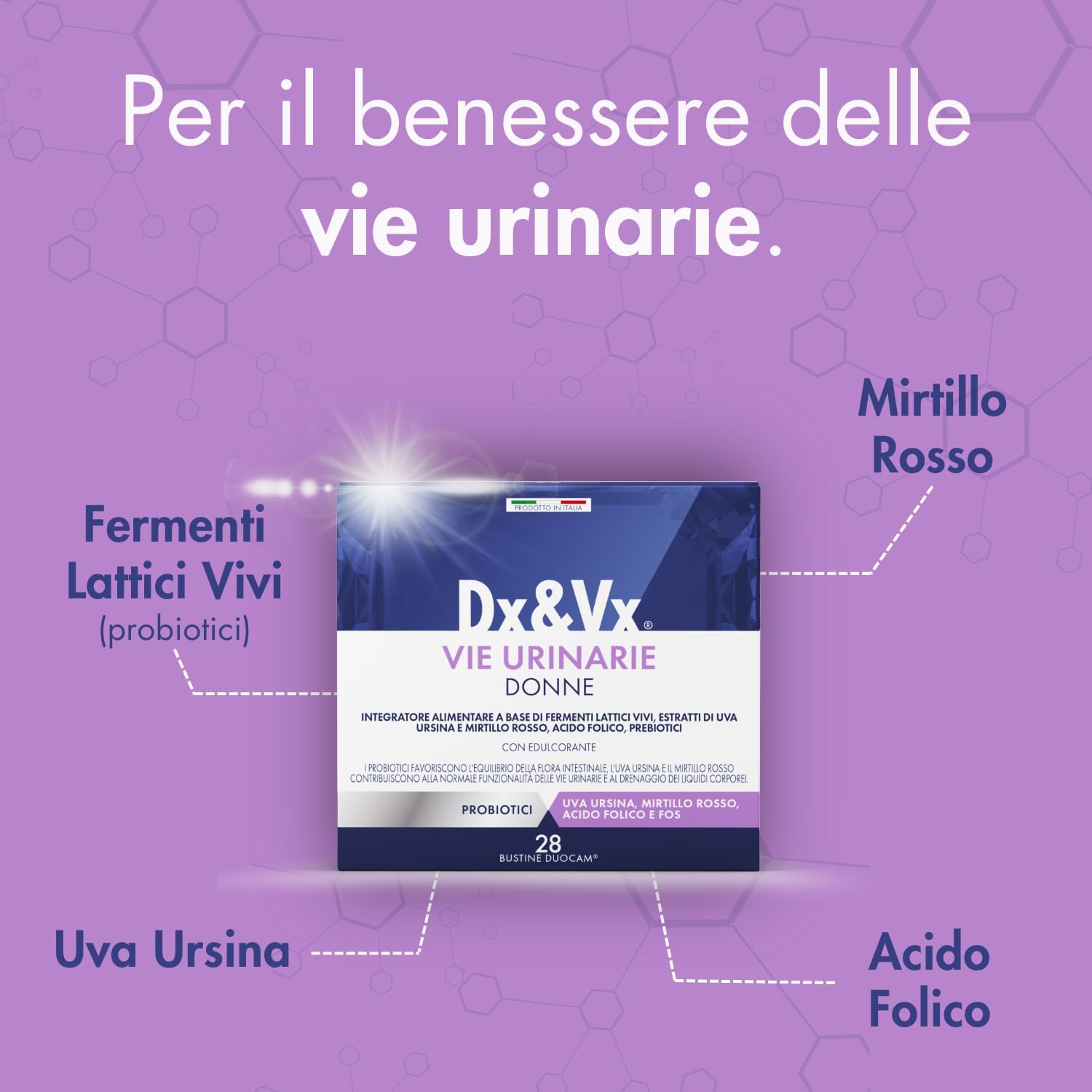 Dx&Vx Vie Urinarie Donne, Integratore per la Funzionalità delle Vie Urinarie, con Fermenti Lattici Vivi, Mirtillo Rosso, Uva Ursina e Acido Folico, Made in Italy, 28 Bustine