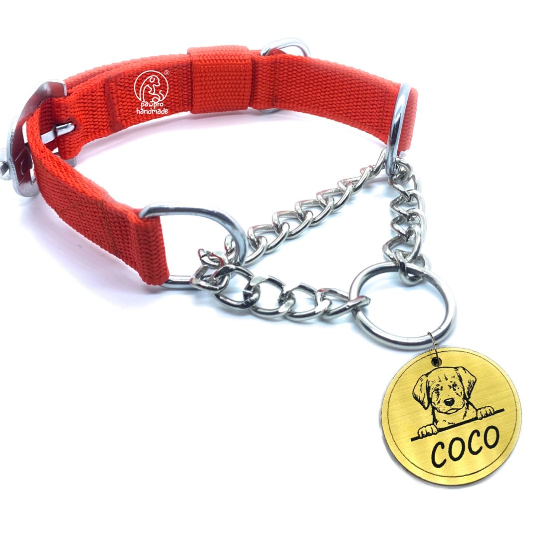 Pawpro Red Dog Chain Belt Collar With Customized Round Name