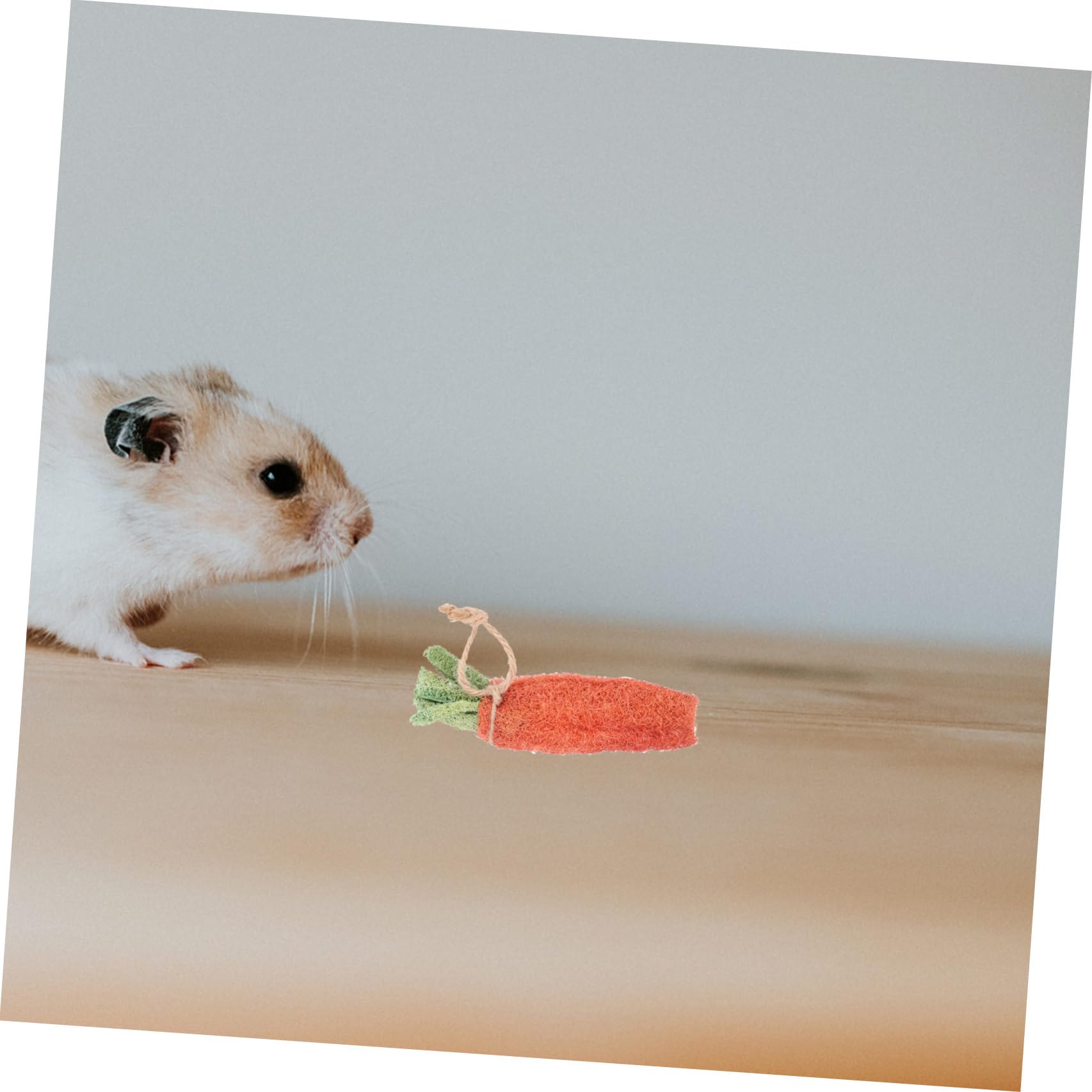 Hohopeti Et Jouets pour Hamsters en Tube Matériau Naturel Petits Jouets Molaires Recherche De Nourriture Soins À Mâcher Couleur Aléatoire