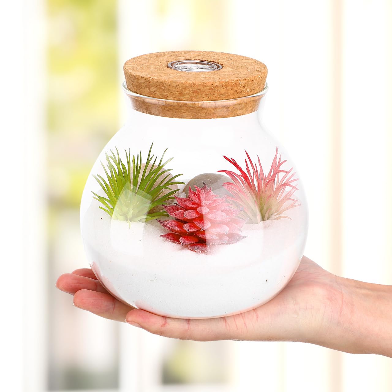 Balacoo Kork Micro Landschaft Ökologischen Flasche Klar Glas Anlage Terrarium Container Fisch Tank Runde Glas Aquarium Ball Nacht Lichter Geschenk