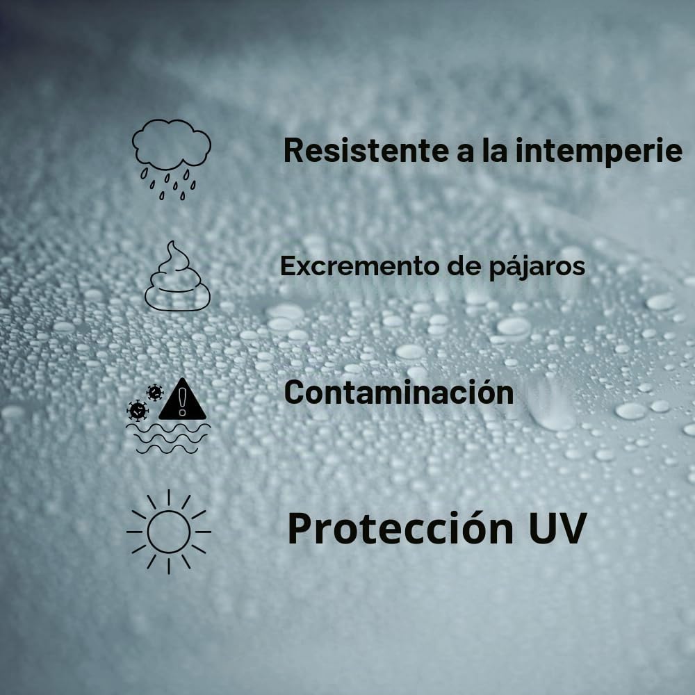 P&S Detailing Products C2501 - Protector de pintura para máquina de perlas (3,8 l)