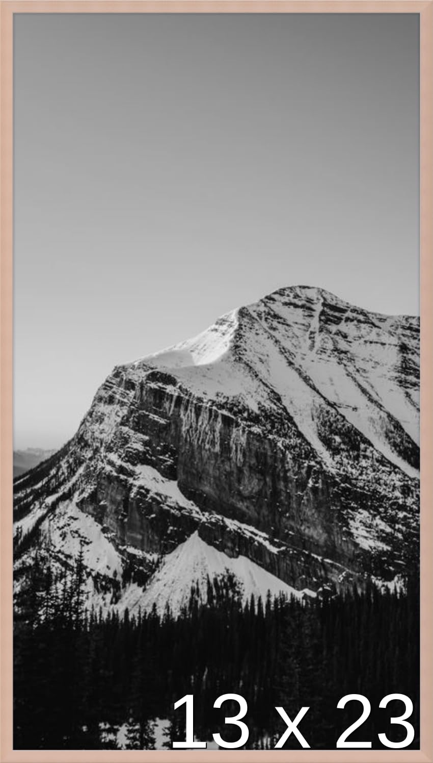 Frame It Easy 13 x 23 Rose Gold Metal Frame (Ashford)