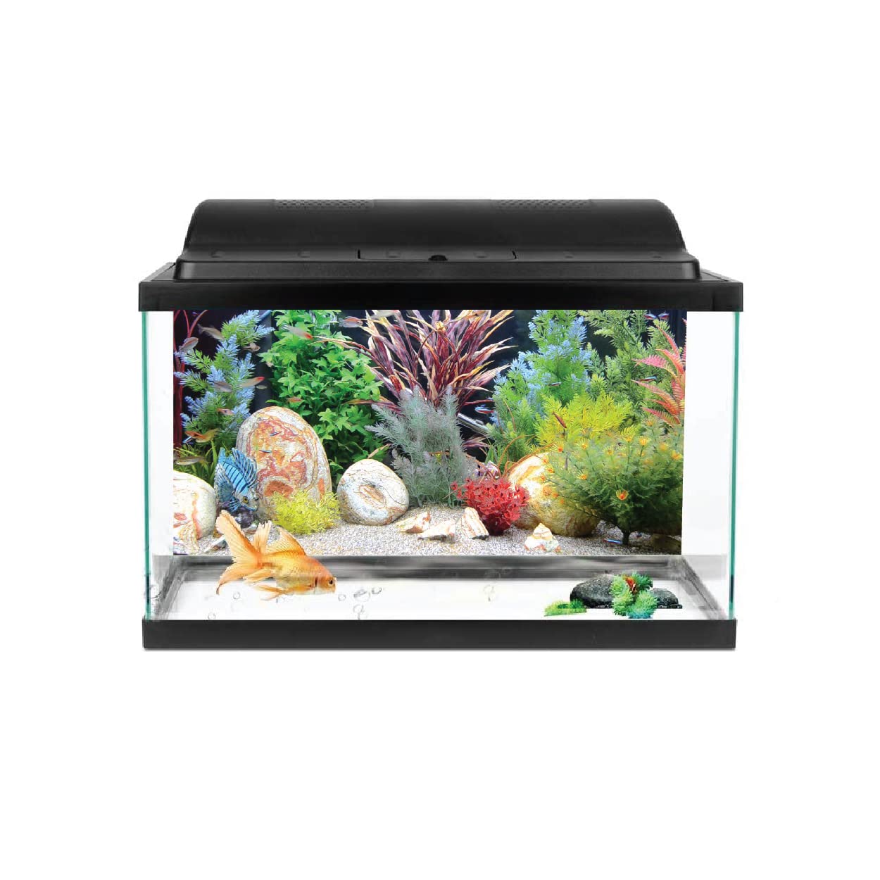 VVWV® Ocean Aquarium Background Stickers Fish Tank Waterproof Vinyl Printed Multicolored Sticker (61 X 41 CMS) (B0BWFBZQCQ) Amazon Price History, Amazon Price Tracker