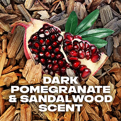 Axe Antiperspirant Stick For Men 48 Hour Sweat And Odor Protection For Long Lasting Freshness, Anarchy Dark Pomegranate And Sandalwood Men's Deodorant 2.7Oz 4 Count #TOP4