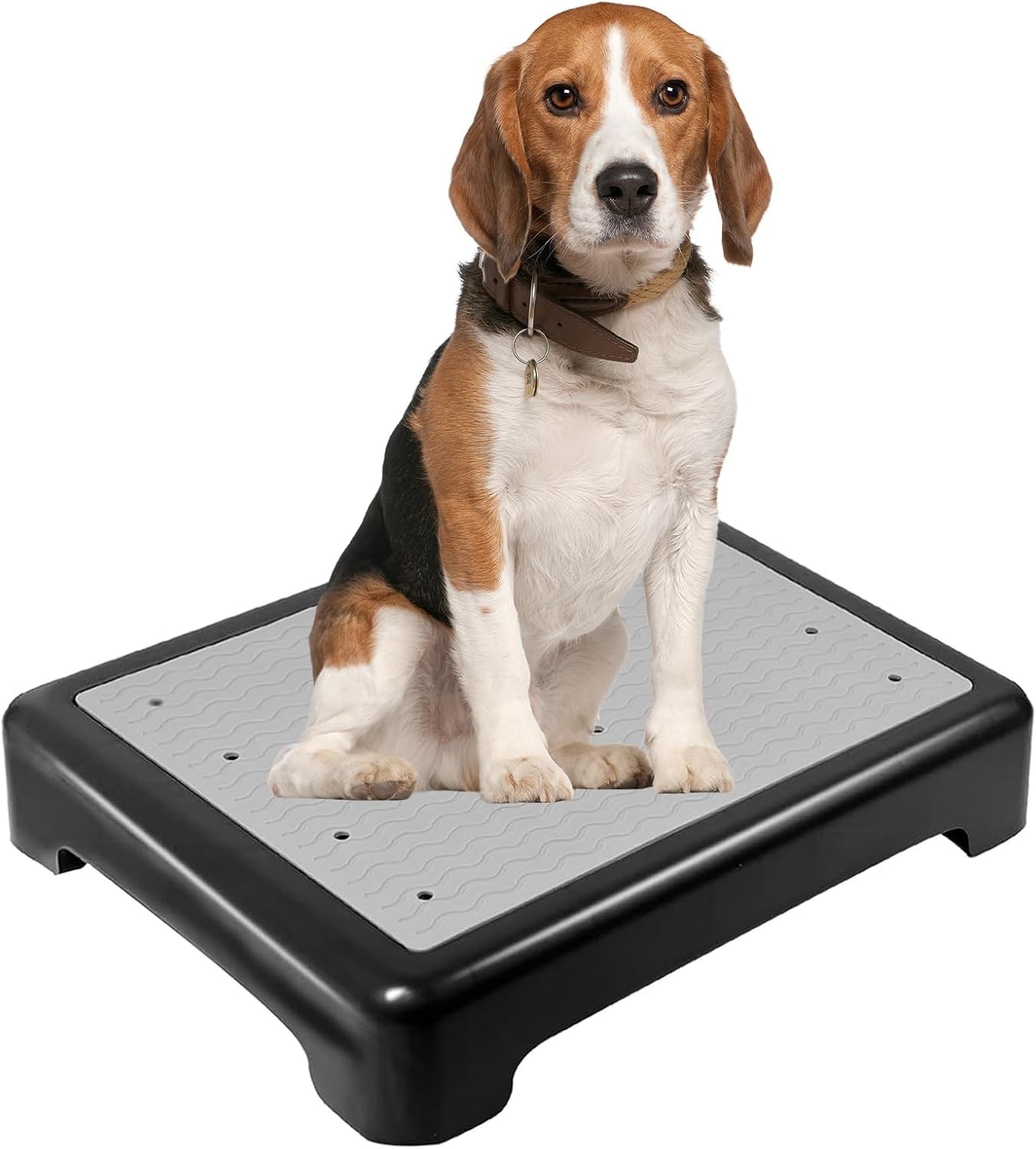 Non-Slip Dog Training Place Board Platform with Drainage Holes, Grey