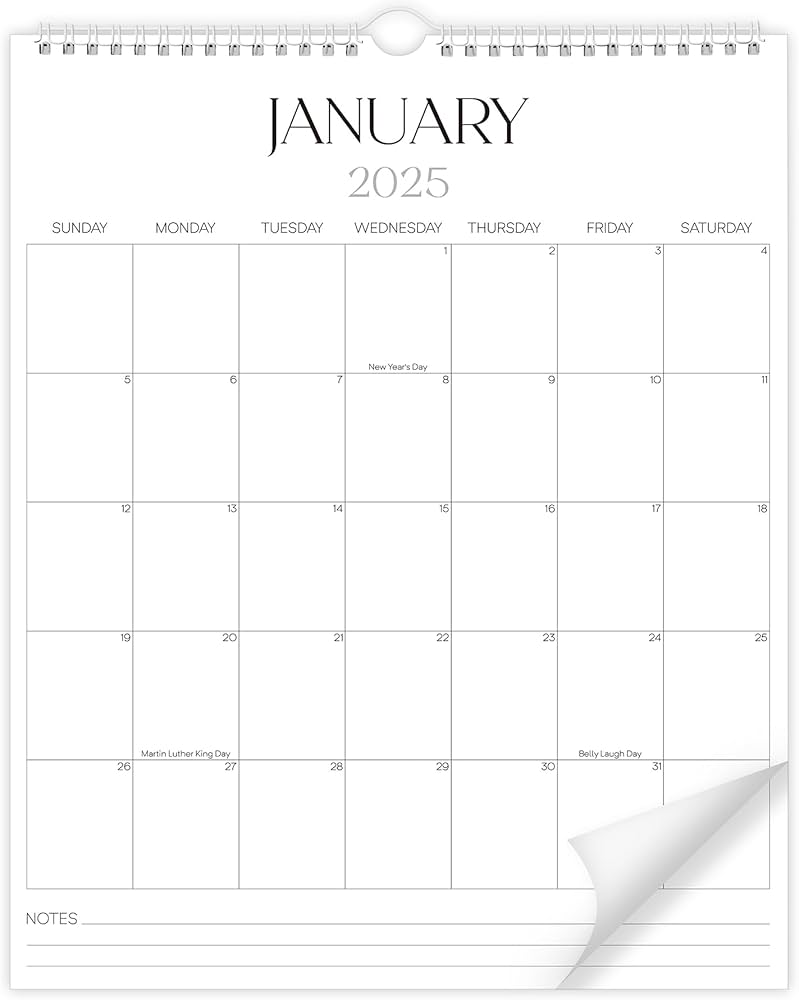 Amazon.com: 2025-2026 Wall Calendar Sleek Calendar 2025-2026 Runs from January 2025 to June 2026, Big 18 Months Spiral Hanging Wall Calendar for Home/Office w/Premium Paper and Large Blank Space : Office Products