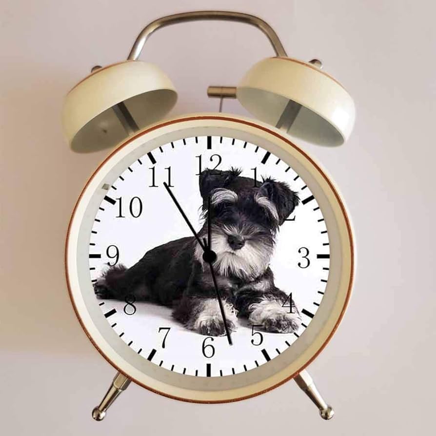 Amazon.co.jp: 白の目覚まし時計 ミニチュアシュナウザーE243大音量