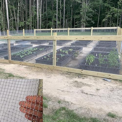 Malla de alambre de acero inoxidable de 1 x 10 m para aves de corral y jardín, resistente al calor, tela versátil, perfecta para gallineros y recintos de animales
