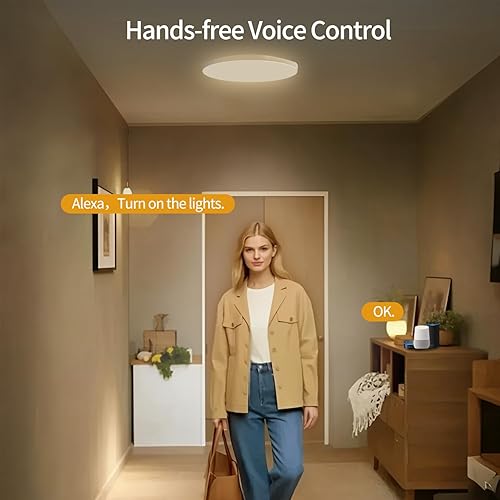 Miniatura 3 de Luces de techo LED inteligentes RGBCW que cambian de color, funciona con Alexa Google Home, lámpara de techo empotrada de 24 W, programador de