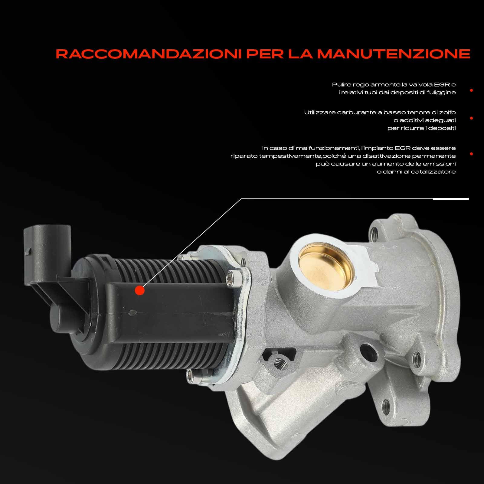Frankberg Valvola EGR per il ricircolo dei gas di scarico 55192348