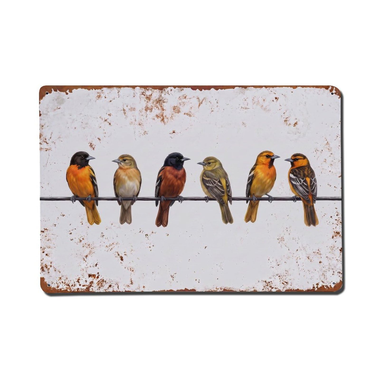 Vintage Retro Birds Oriole Metal Tin Sign