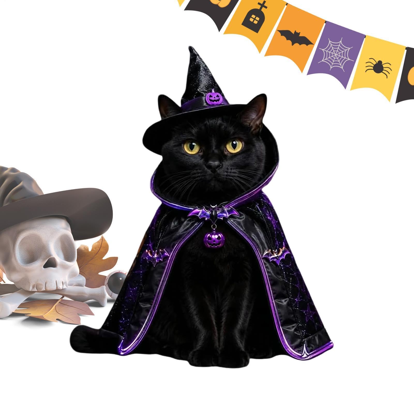 Disfraz de Halloween de gato cómodo que no estresa a tu mascota en las fotos