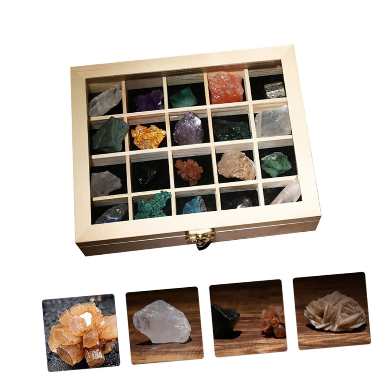 Healeved 20 Einzigartige Natursteine Sammelbox Dekorative Steine ​​für Zuhause Freunde Lehrmittel Für Aquarien Und Gärten