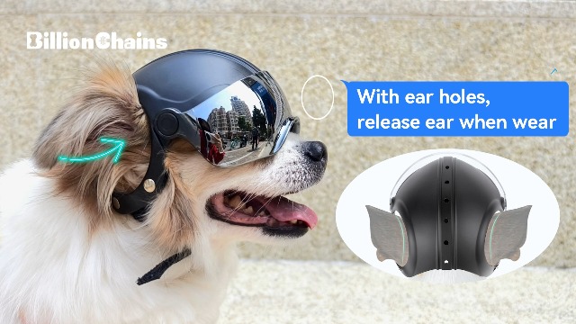 Dog Helmet for Small Breed Cool Pet Motorcycle Helmet with Drop-Down Silver Visor (Without Rivets) : Everything Else