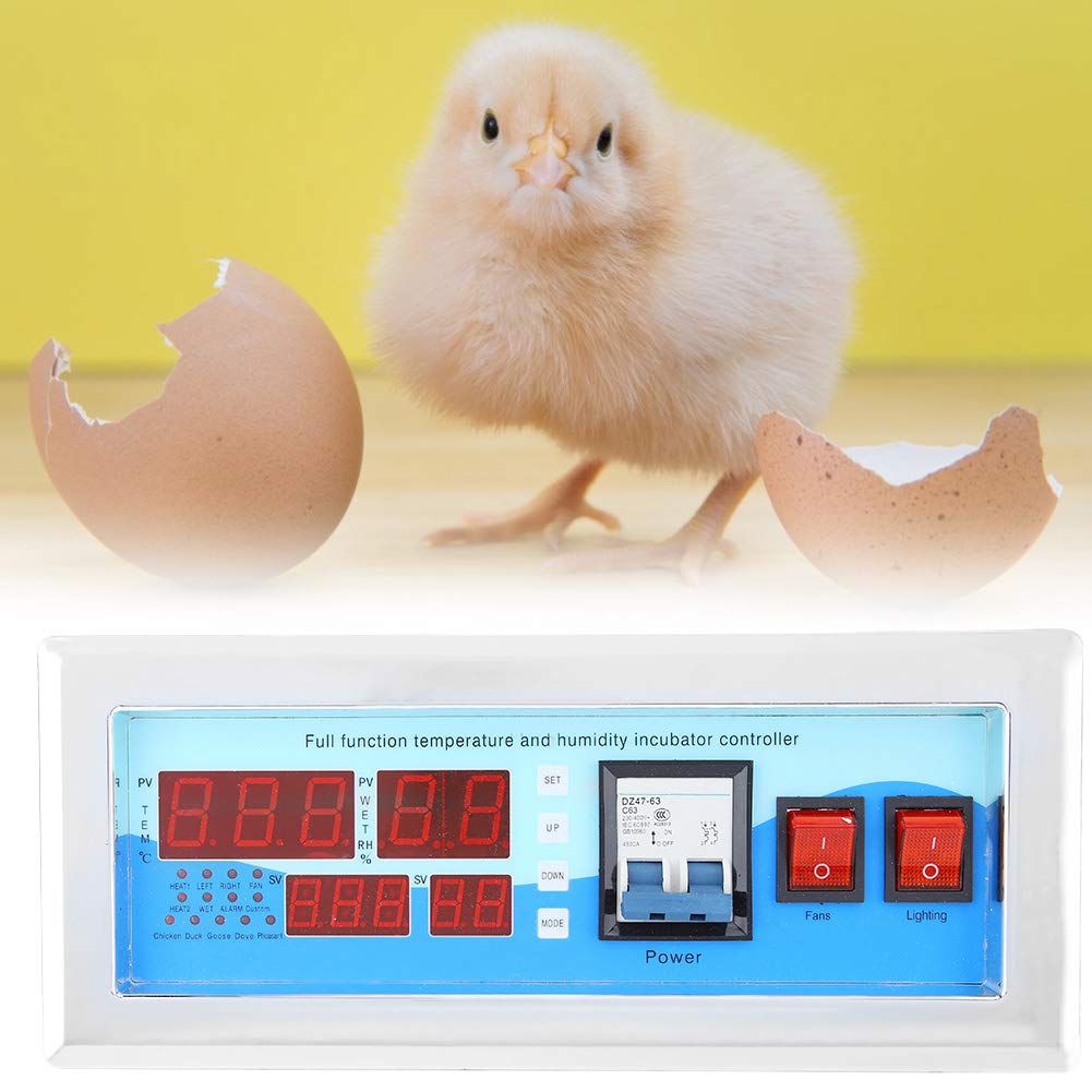 Controller per Incubatrice Blue Egg per Polli