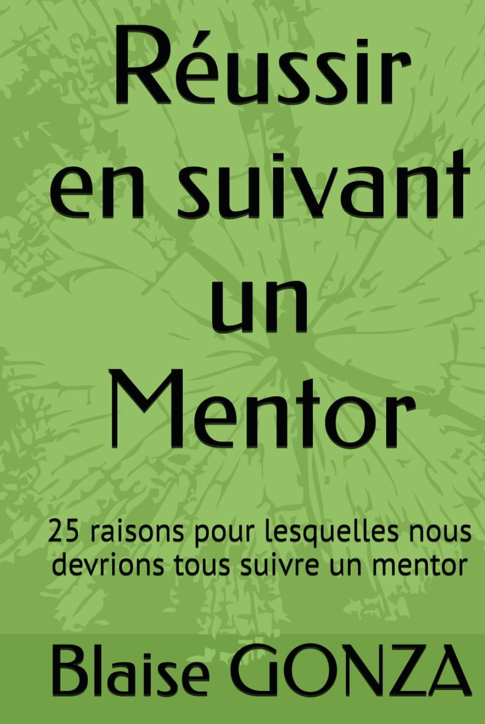 Réussir en suivant un Mentor: 25 raisons pour lesquelles nous devrions tous suivre un mentor