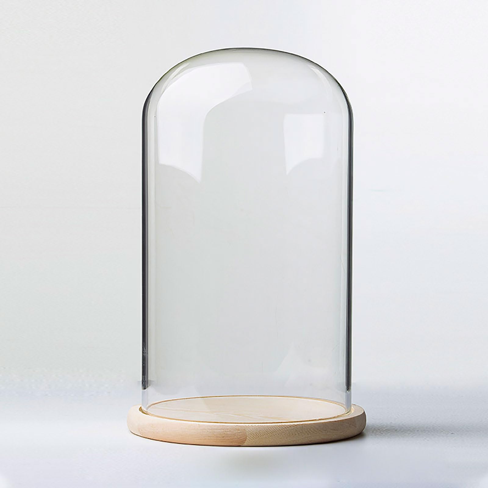 TIHONORI Dia 20 Cm Glass Cloche Dome Display with Solid Wood Base for Displaying Plants, Ornaments, Figurines,20 * 30cm