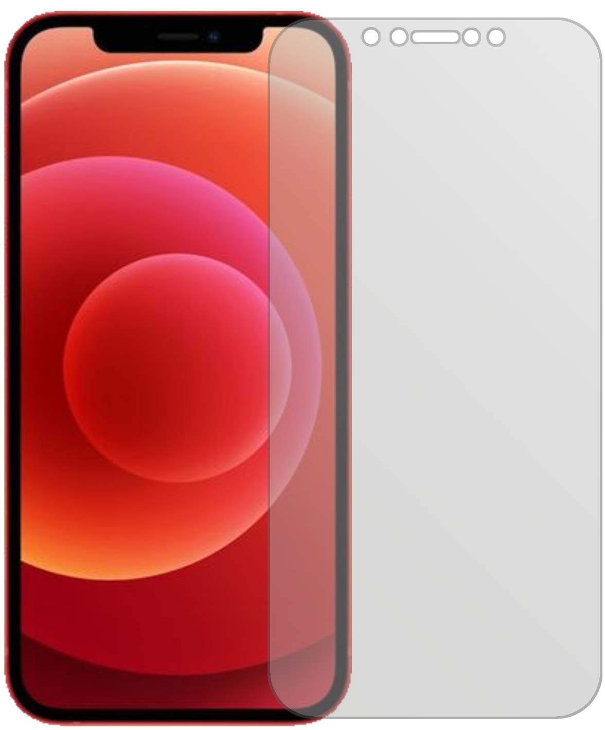 dipos I 6X Pellicola Protettiva Compatibile con Apple iPhone XS Rückseite Pellicola di Protezione Cristallo
