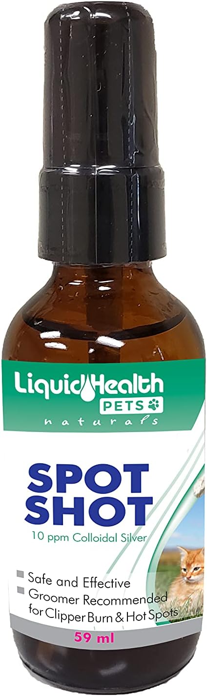 colloidal silver for cats