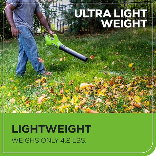 Image of Greenworks 24V (90 MPH / 320 CFM / 200+ Compatible Tools) Cordless Axial Leaf Blower, 2.0Ah Battery and Charger Included