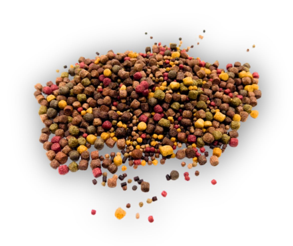 Warnick's Fischfutter Koifutter 5-Sorten-Mix 3-6 mm - 15 kg | Fischfutter für Koi & Zierfische - Schwimmfähig & gut verdaulich - Farbverstärkend mit Spirulina