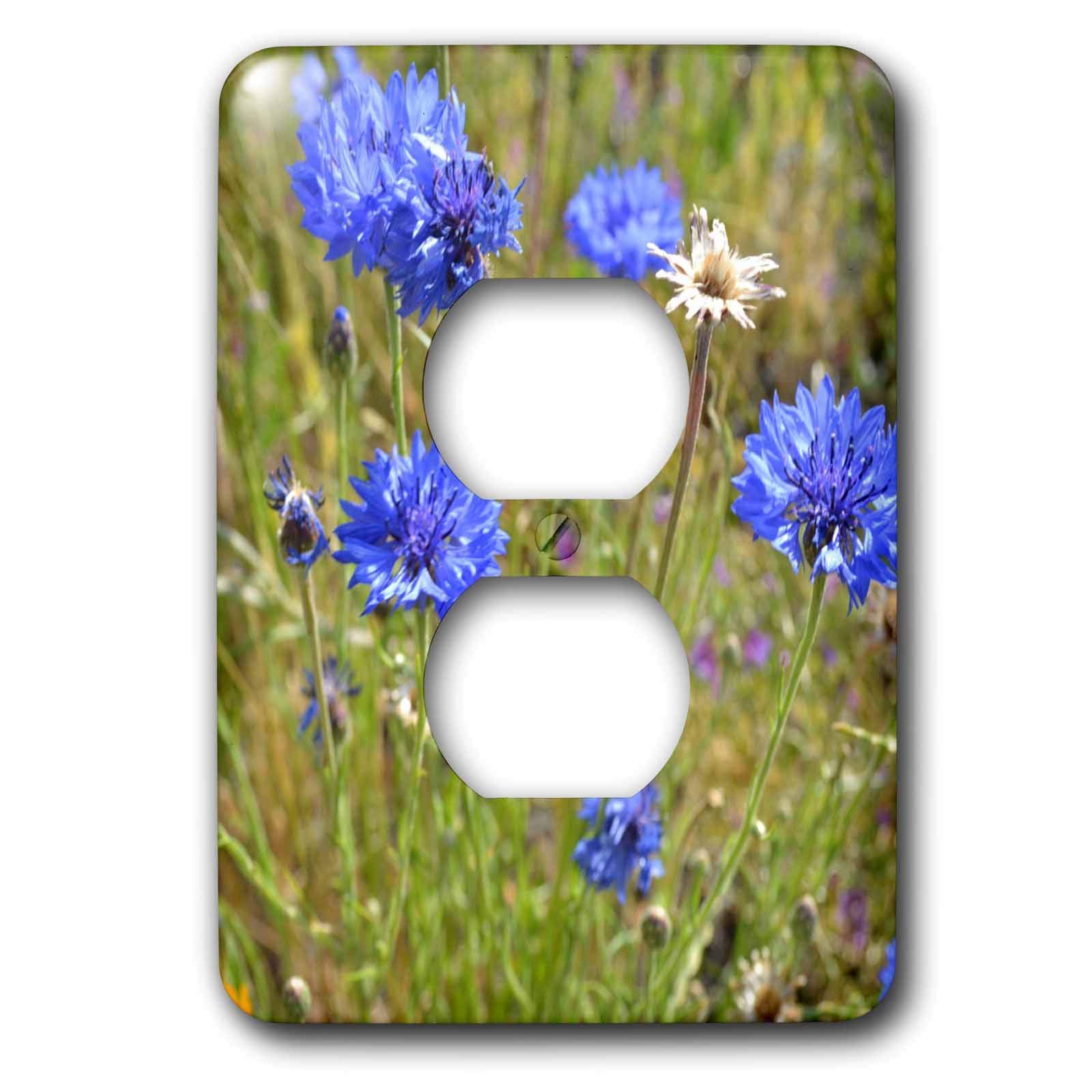 Fleurs bleues pour remplacer plaque interrupteur lsp_22700_6 usée