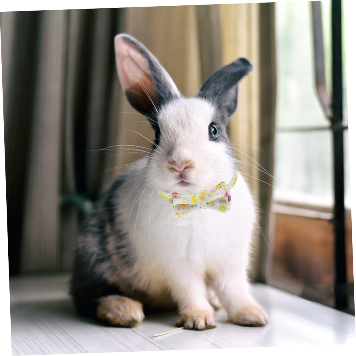 FOMIYES 6stücke Teiliges Verstellbares Katzenhalsband Bunten Früchten Und Schleifen Für Sommeroutfits Fotorequisiten Für Haustiere Geeignet Für Katzen Und Kätzchen