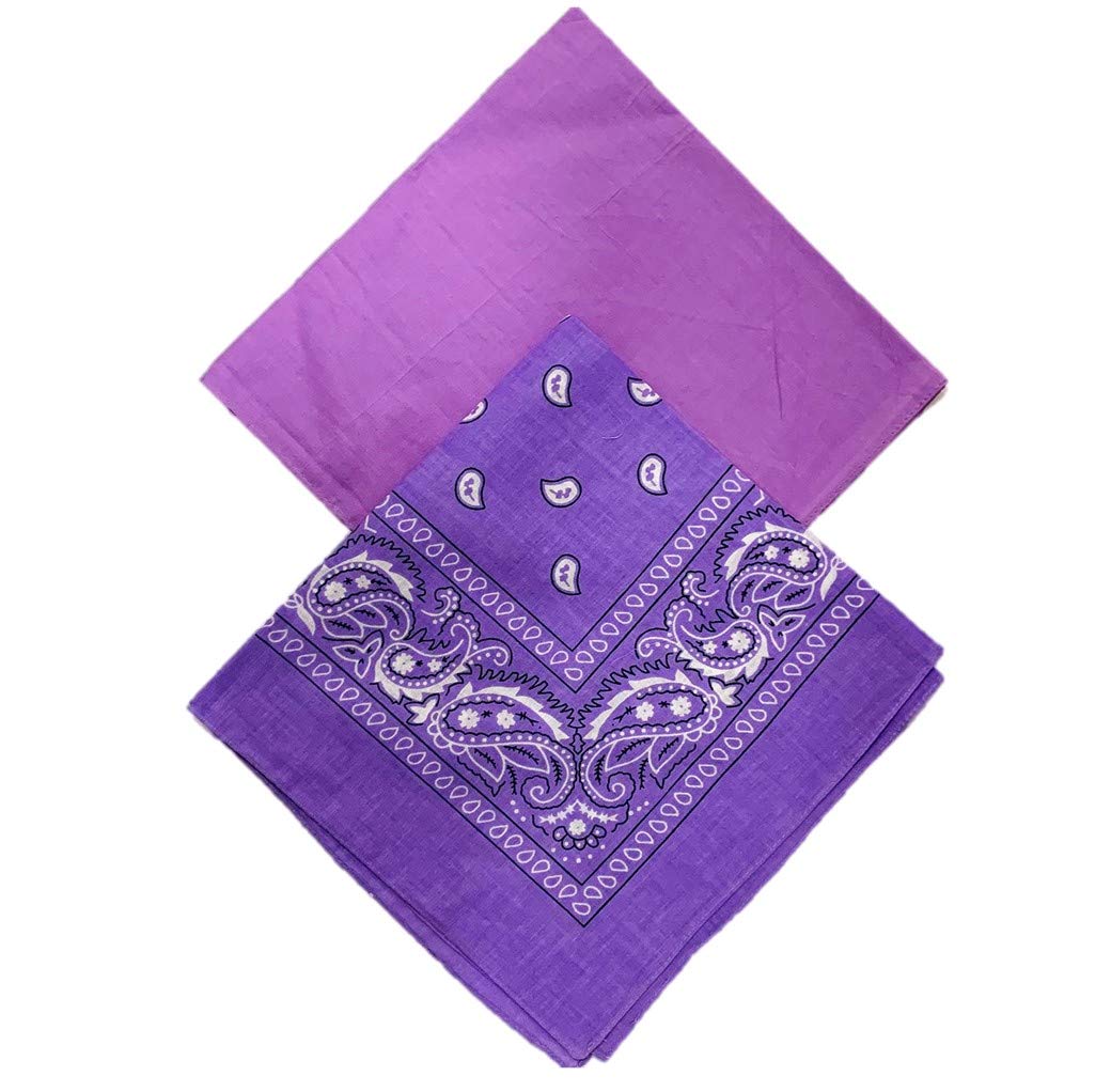 Stylex Party Ltd 2 Pack of Purple Bandana Paisley Purple Paisley Bandana Plain Bandana Headband Mask Tie