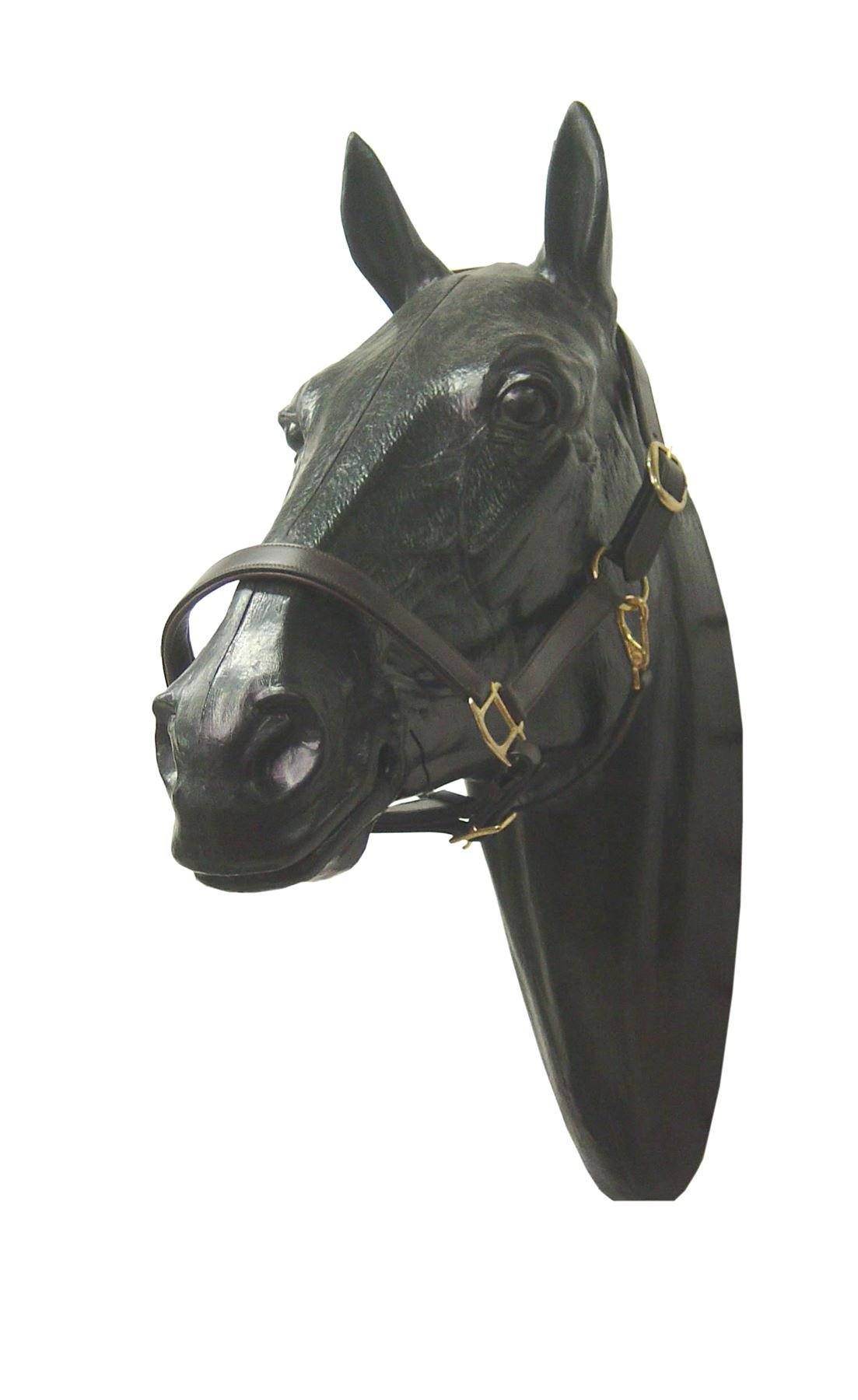 PROTACK HEADCOLLAR LEATHER PONY EQUINE HORSE HORSE WEAR