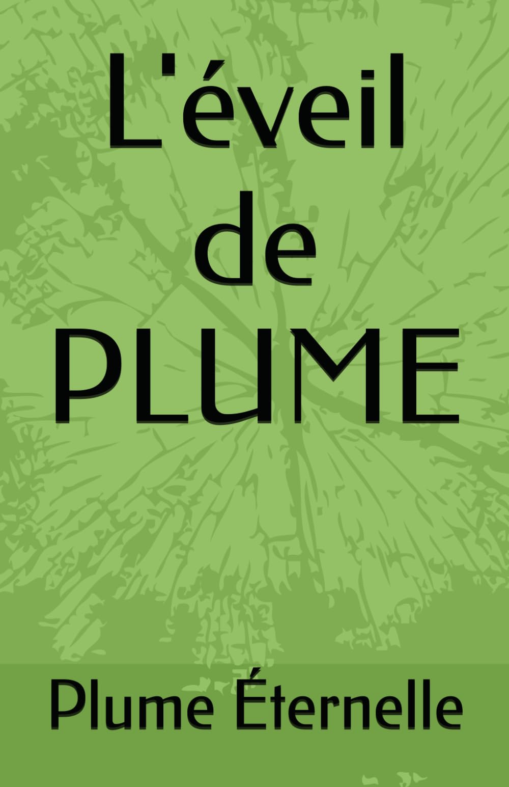 L'éveil de PLUME