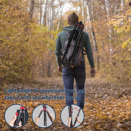 ZOMEi 75'' Tripod,Camera Tripod for DSLR,Ball Head Tripod Professional Tripods 4 Section Horizontal Tripod with 360 Degree Ball Head Plate for Canon DSLR DV Scope Camcorder and Projector